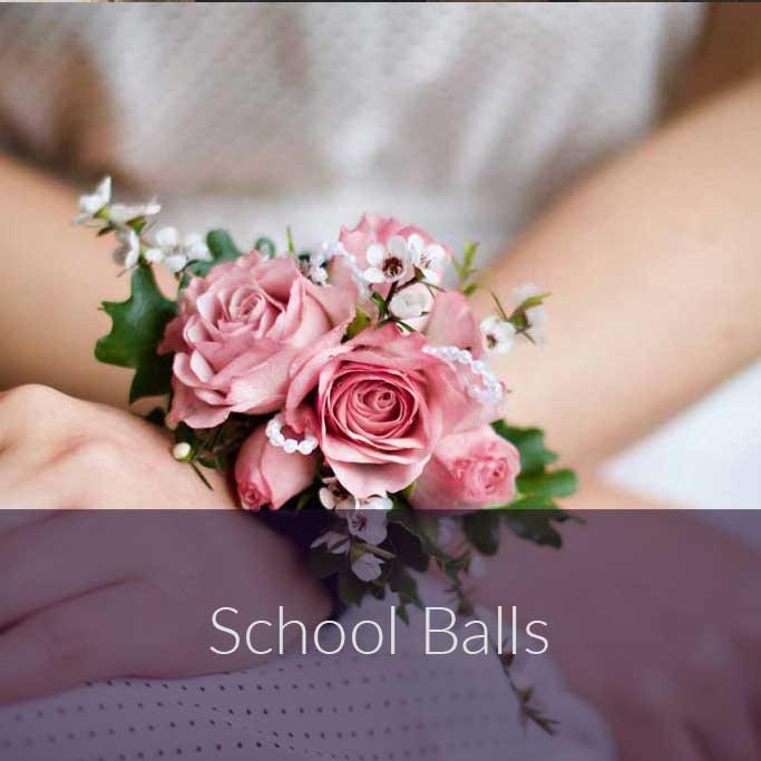 School Balls
